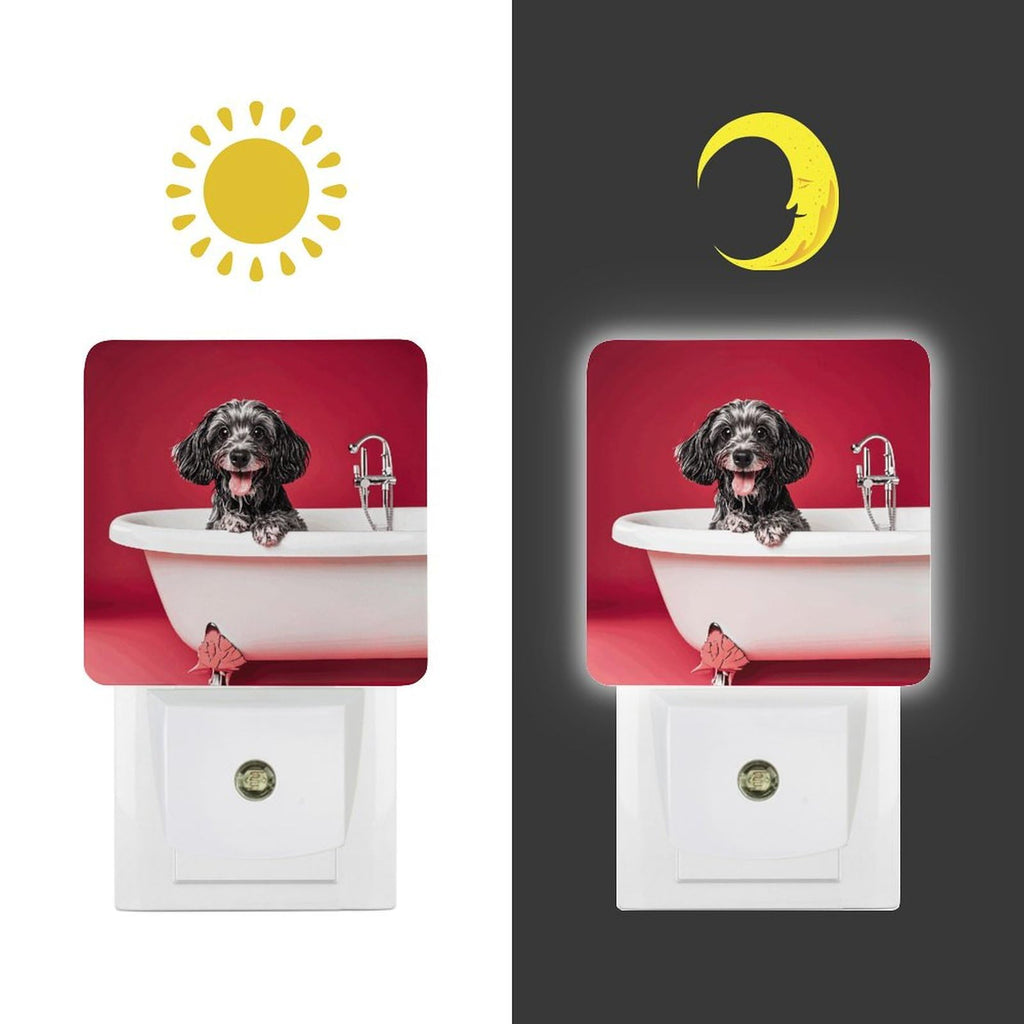 LED Night Lights Plug Into Wall with Dusk to Dawn Sensor X401145