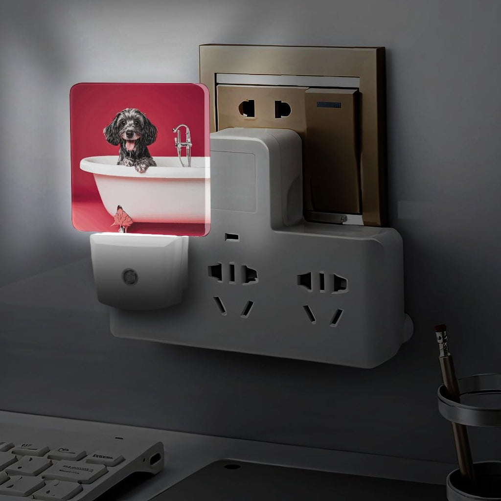 LED Night Lights Plug Into Wall with Dusk to Dawn Sensor X401145