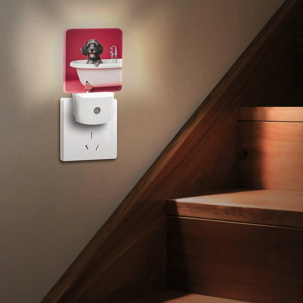LED Night Lights Plug Into Wall with Dusk to Dawn Sensor X401145