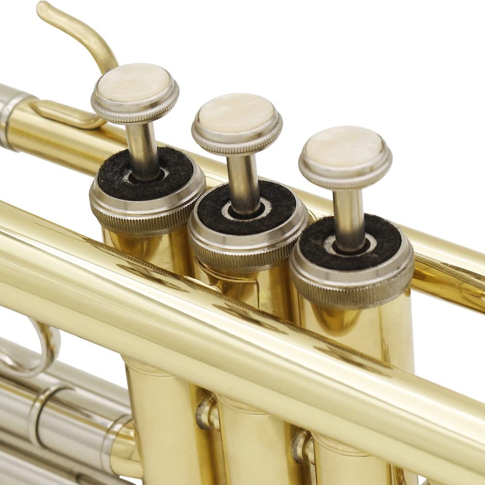 Standard Trumpet with Hard Case and 7C Mouthpiece L947