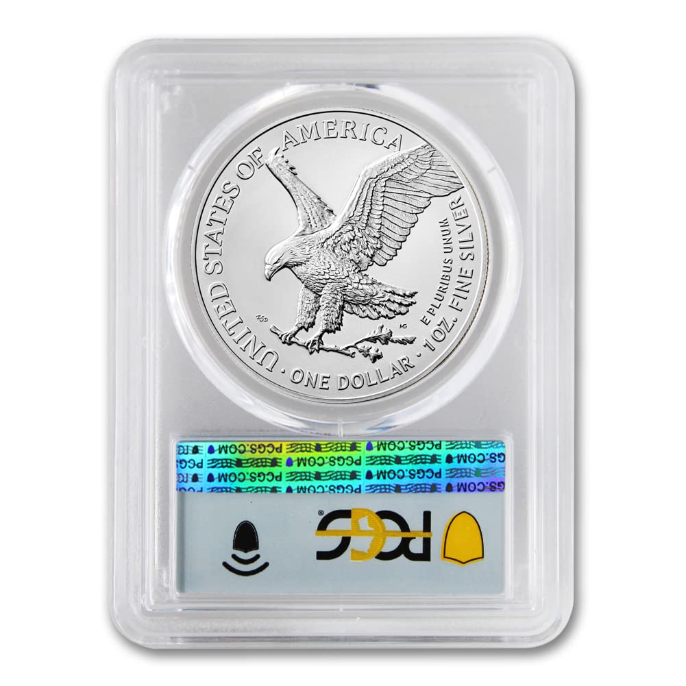 1 oz American Silver Eagle Coin MS-70 C5453