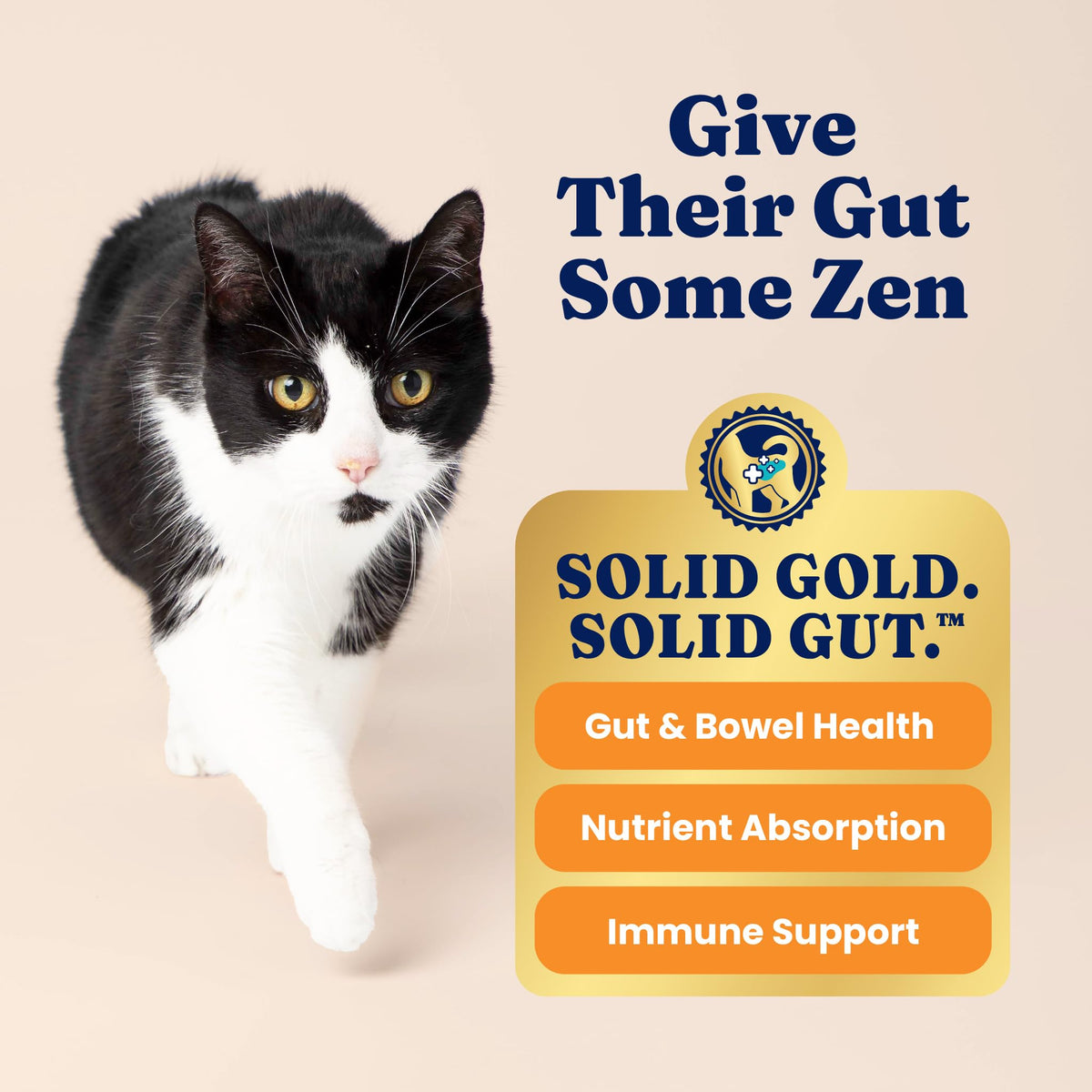 Solid Gold Indoor Chicken Dry Cat Food High Fiber, Adult & Senior Cats 12LB S960