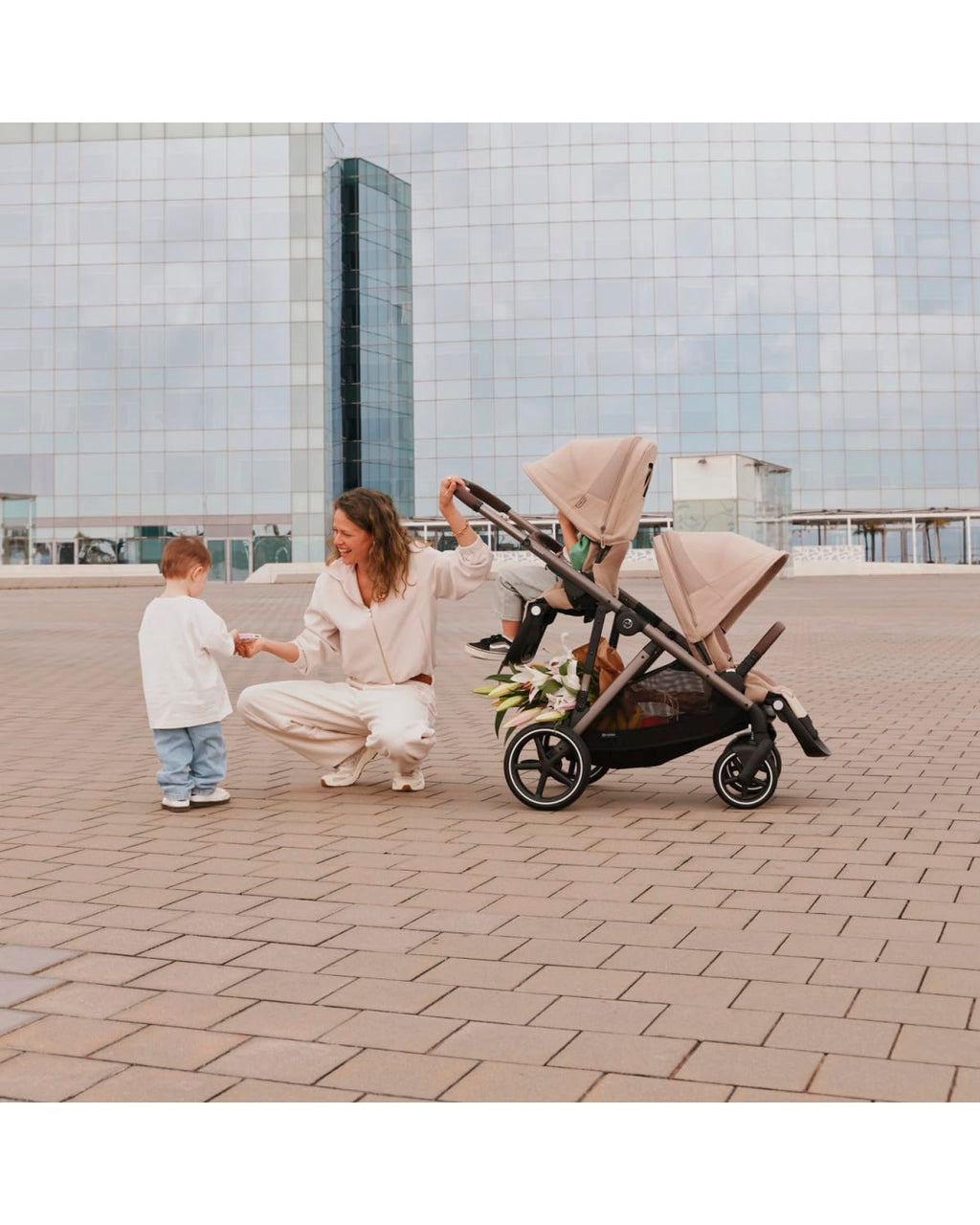 Chocolate Brown Stroller Seat M87363