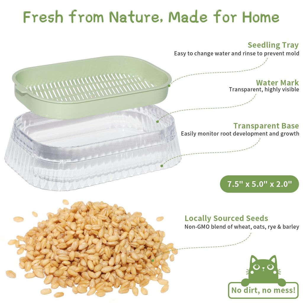 Hydroponic Cat Grass Grow Kit with 5Pack Non GMO Seeds W243725