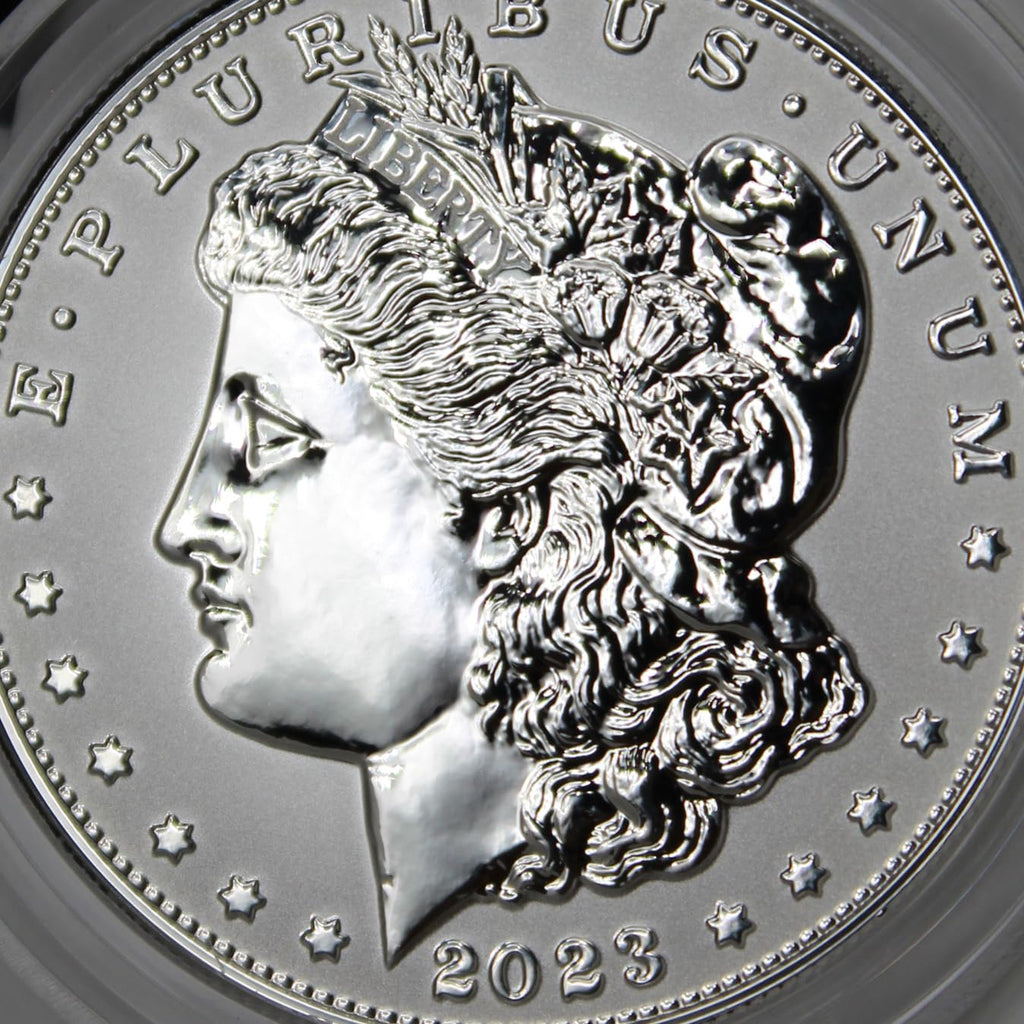 American Silver Morgan Dollar Reverse Coin L6351