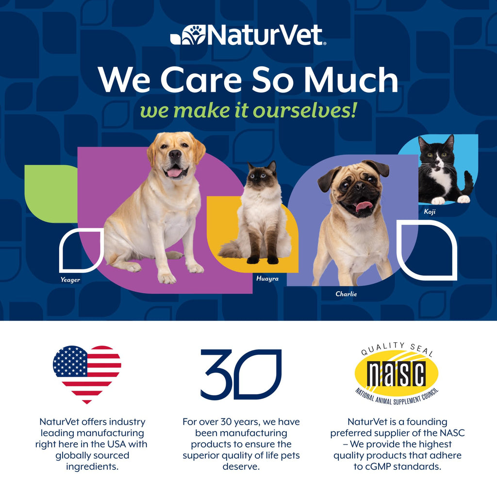 Hairball Aid Supplement for Cats Soft Chews Q288124