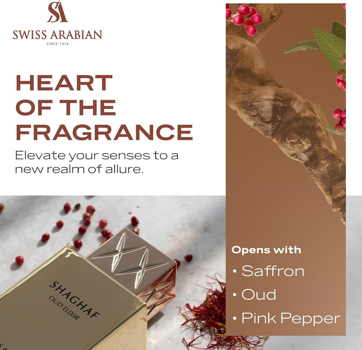 2.5 oz Oud Gourmand Amber EDP Spray W555