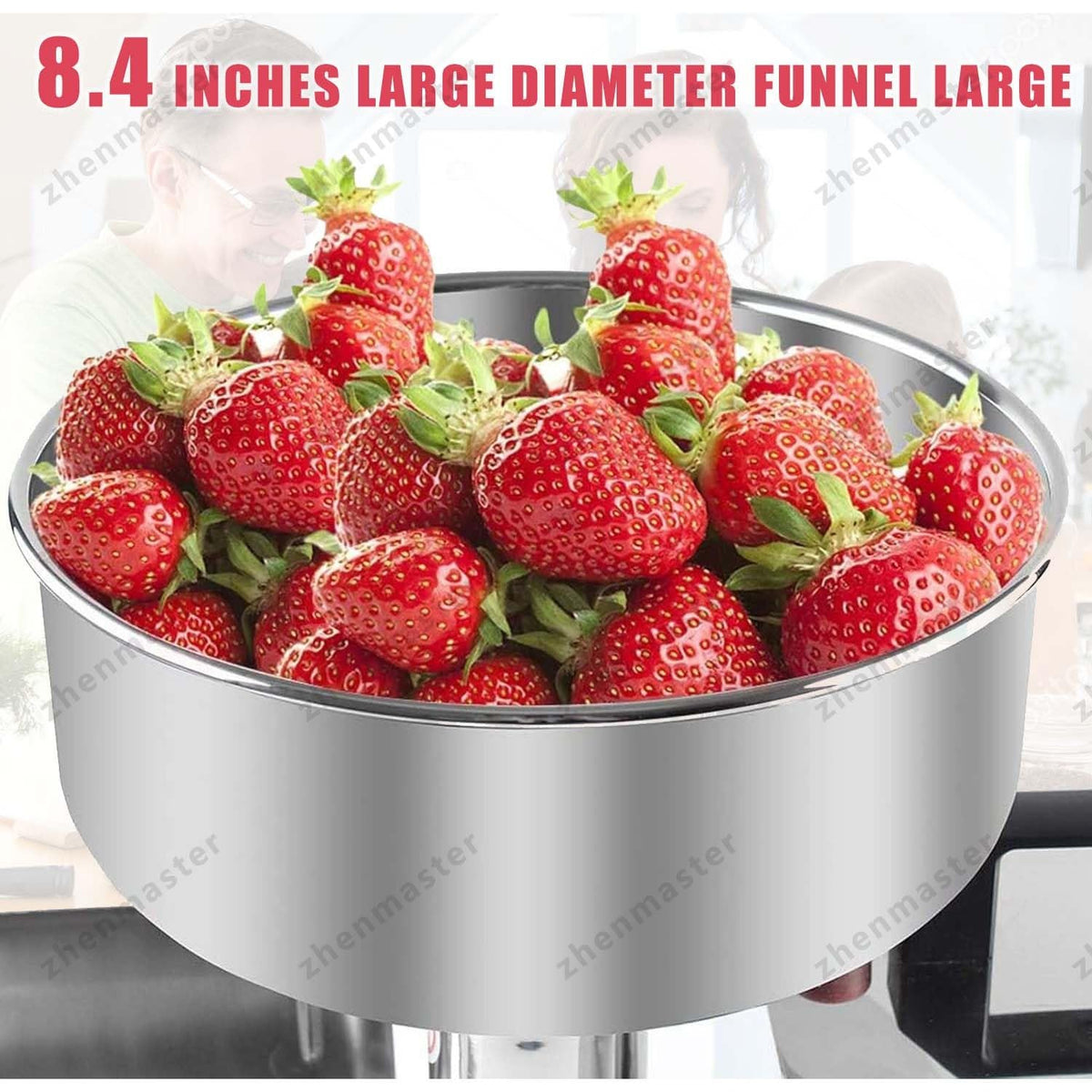 450W Stainless Steel Tomato Strainer with Seed Separator Z138