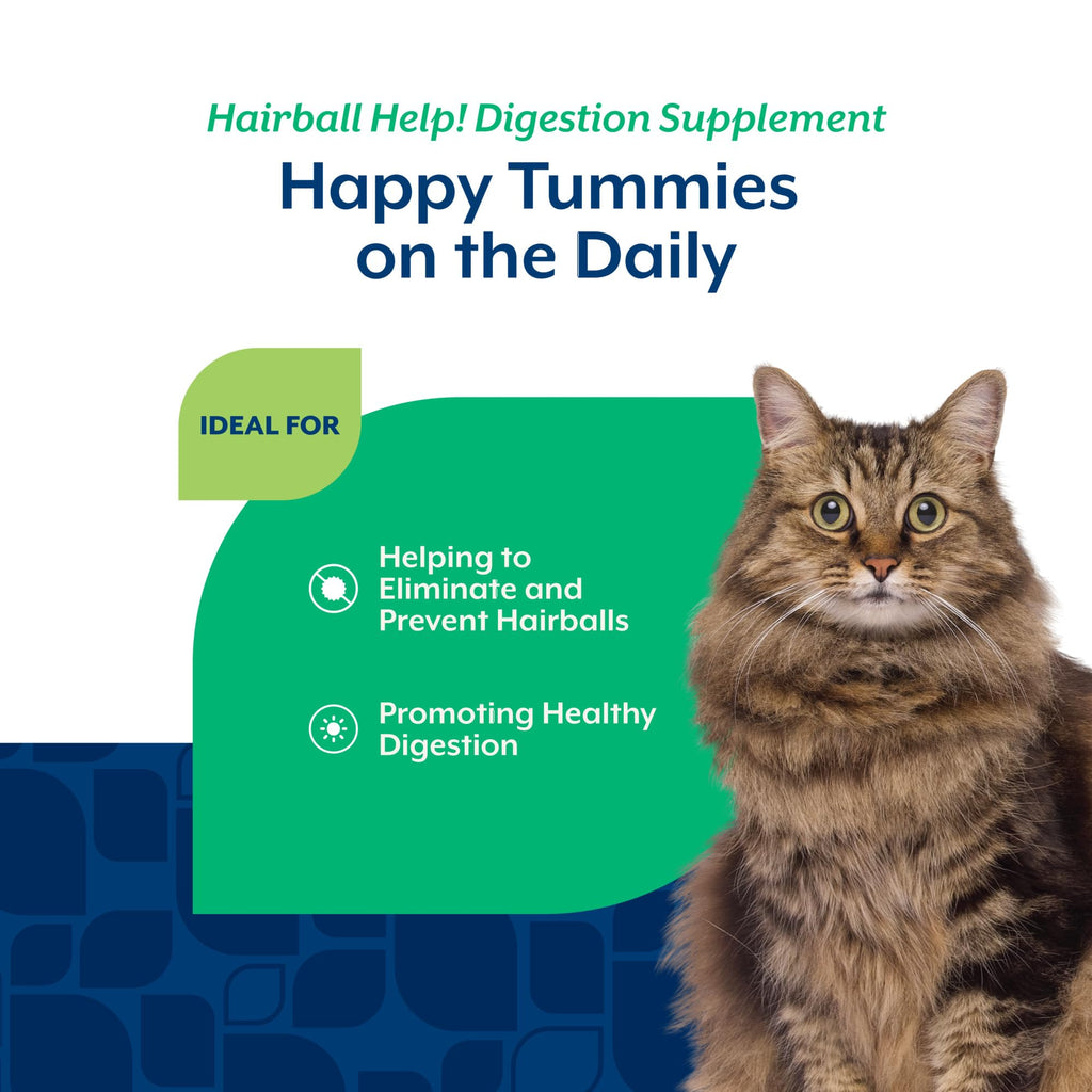 Hairball Aid Supplement for Cats Soft Chews Q288124