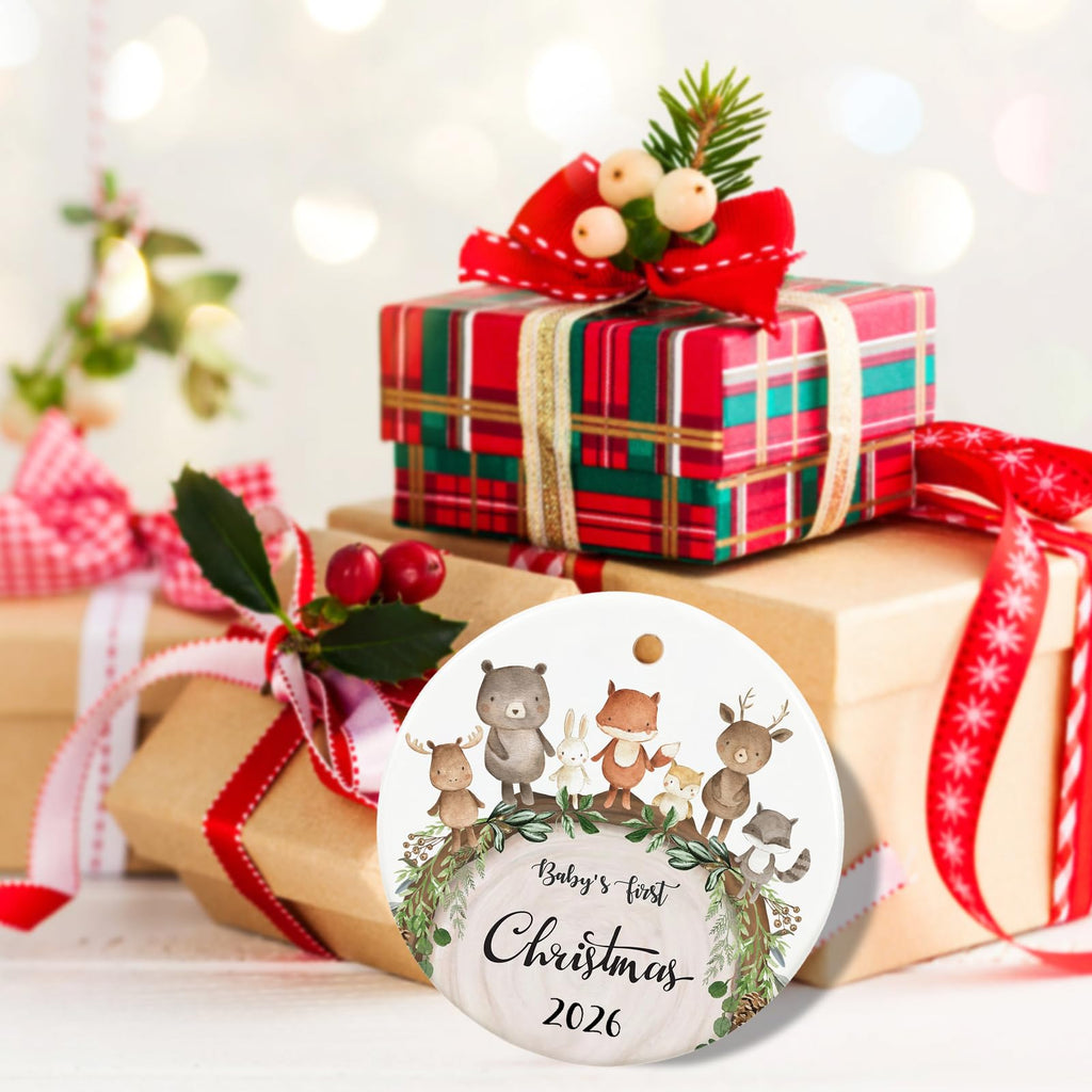 Baby First Christmas Ornament 2026 G670