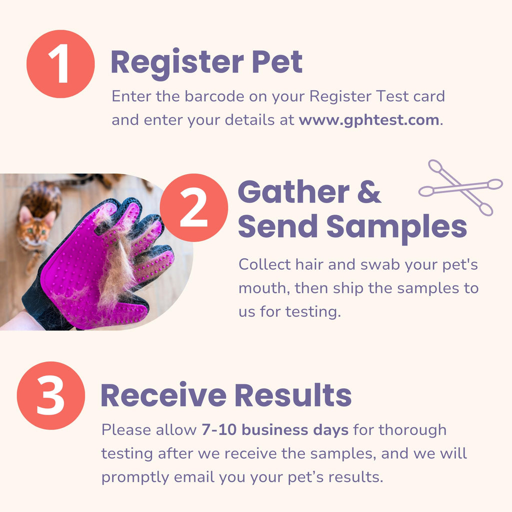 Pet Intolerance Test Dogs & Cats X8976