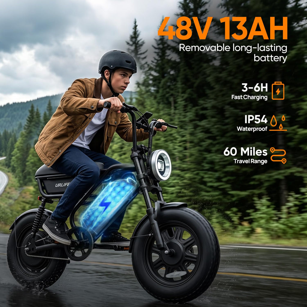 1000W Peak Electric Bike with 48V 13AH Battery, 16" Fat Tire Z696859