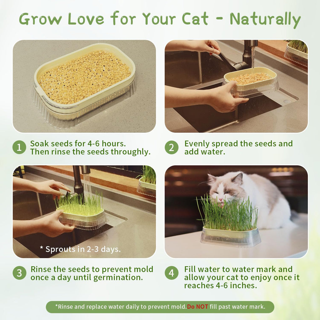 Hydroponic Cat Grass Grow Kit with 5Pack Non GMO Seeds W243725