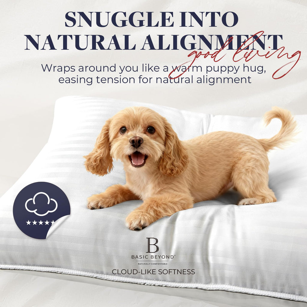 King Size Down Alternative Pillow 2 Pack J65656
