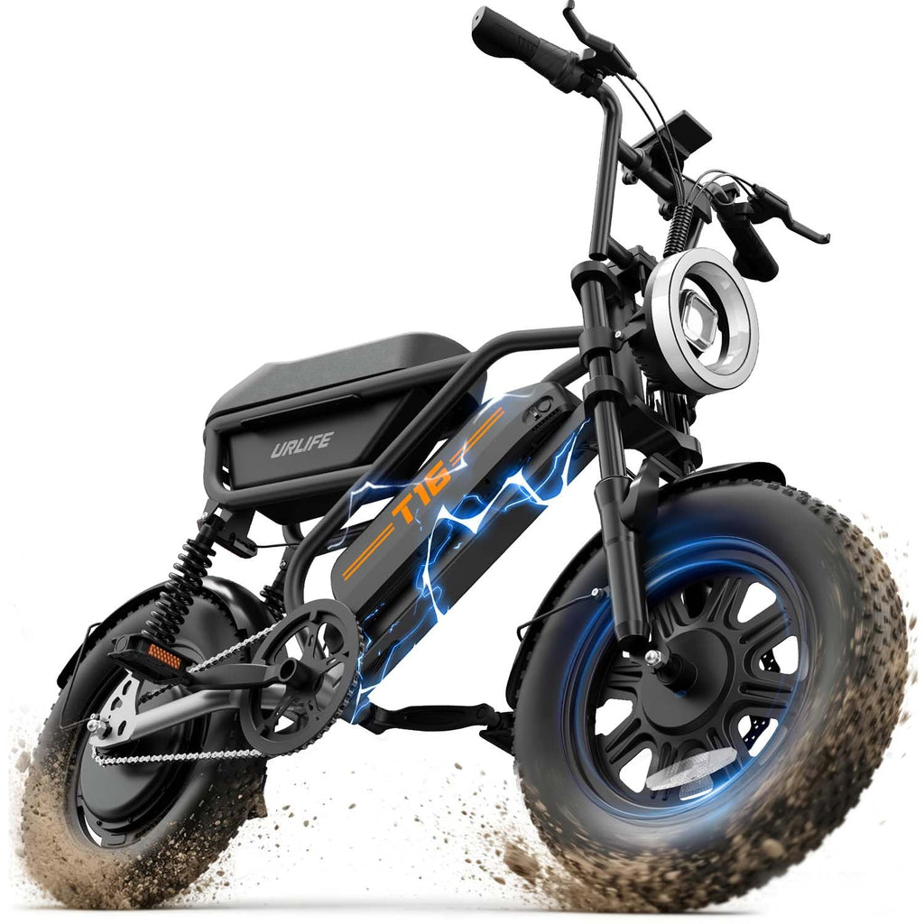 1000W Peak Electric Bike with 48V 13AH Battery, 16" Fat Tire Z696859