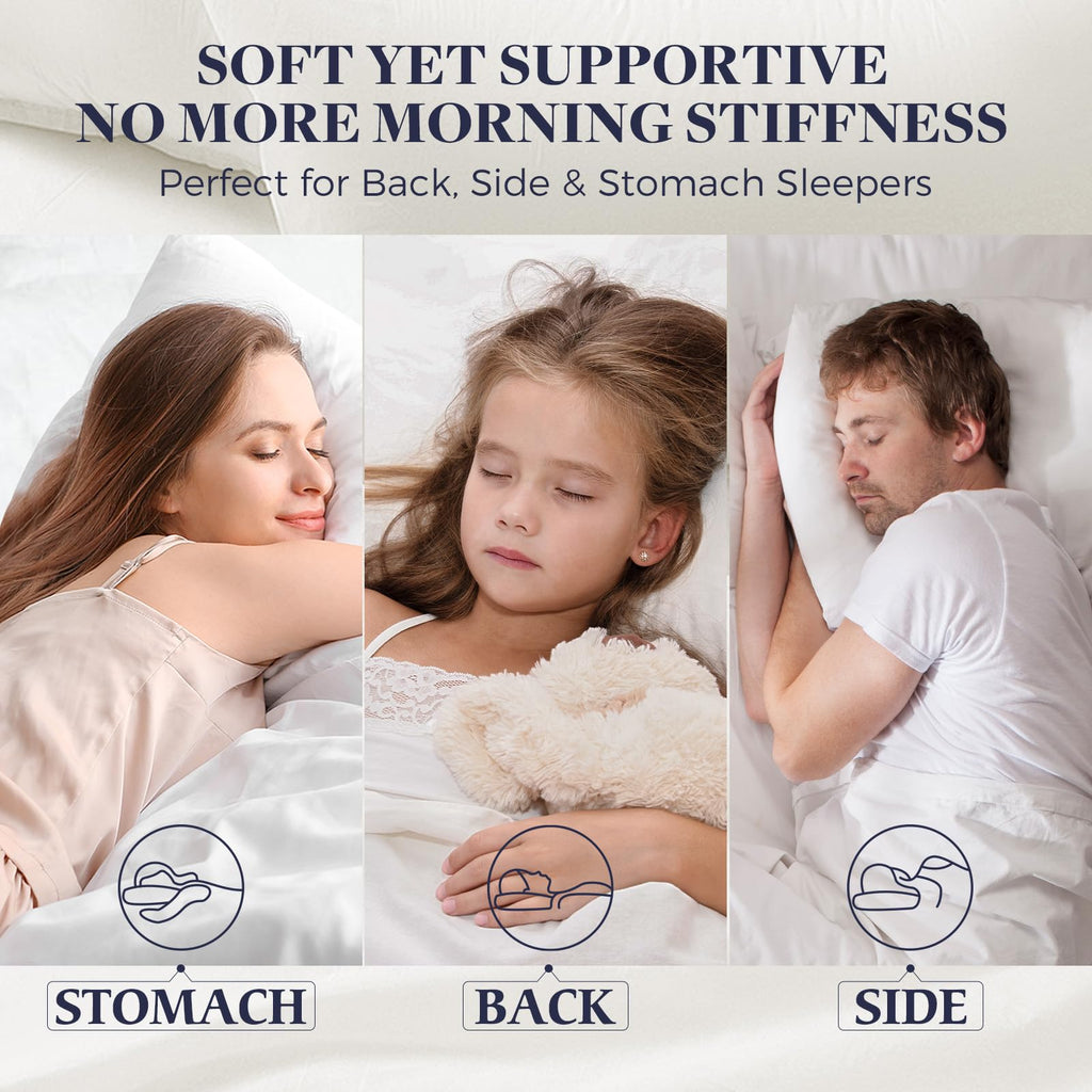 King Size Down Alternative Pillow 2 Pack J65656