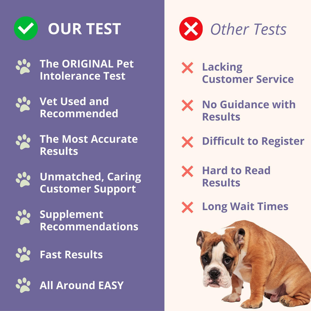Pet Intolerance Test Dogs & Cats X8976