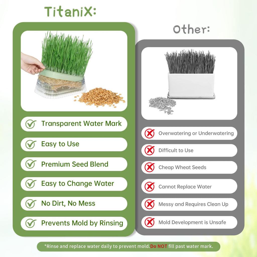 Hydroponic Cat Grass Grow Kit with 5Pack Non GMO Seeds W243725