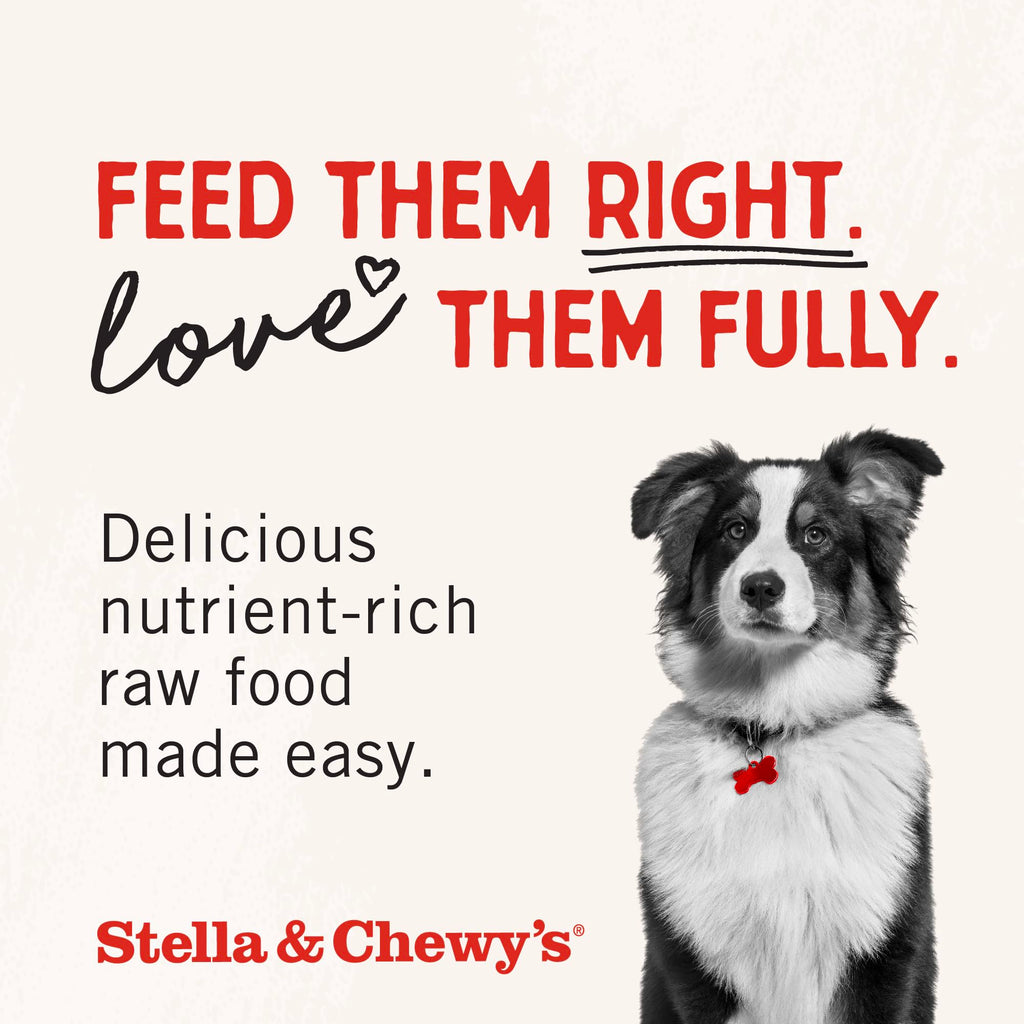 Freeze-Dried Raw Chicken Heart Dog Treats 11oz Bag H206066