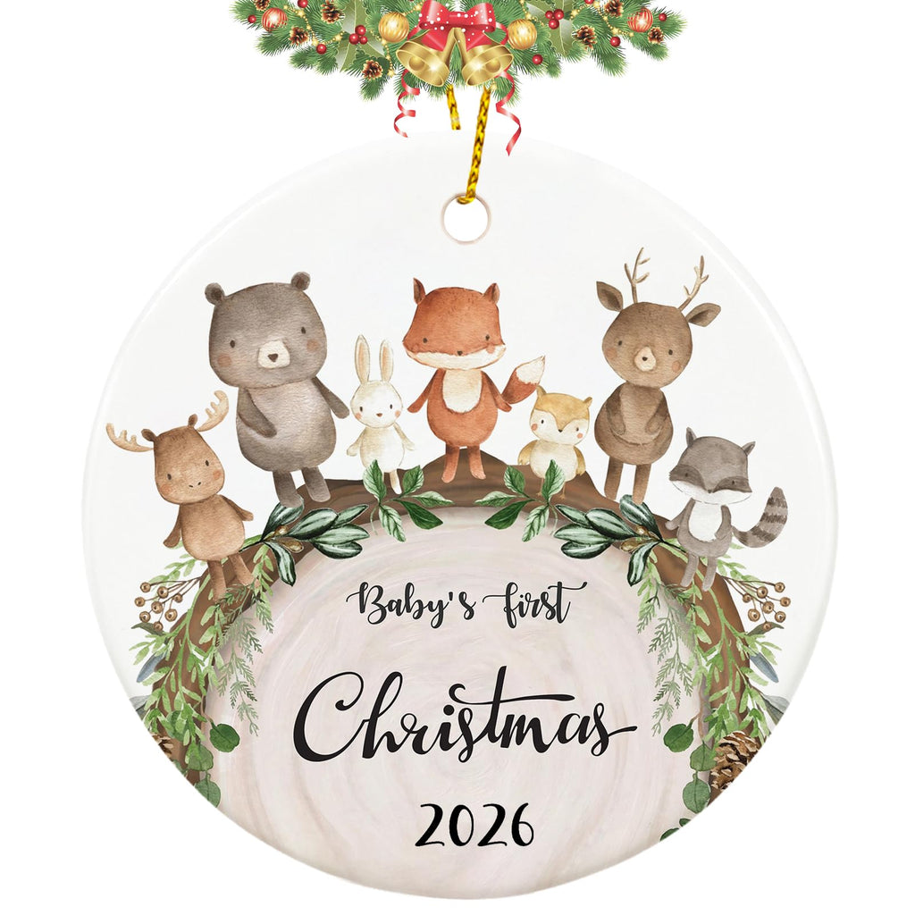 Baby First Christmas Ornament 2026 G670