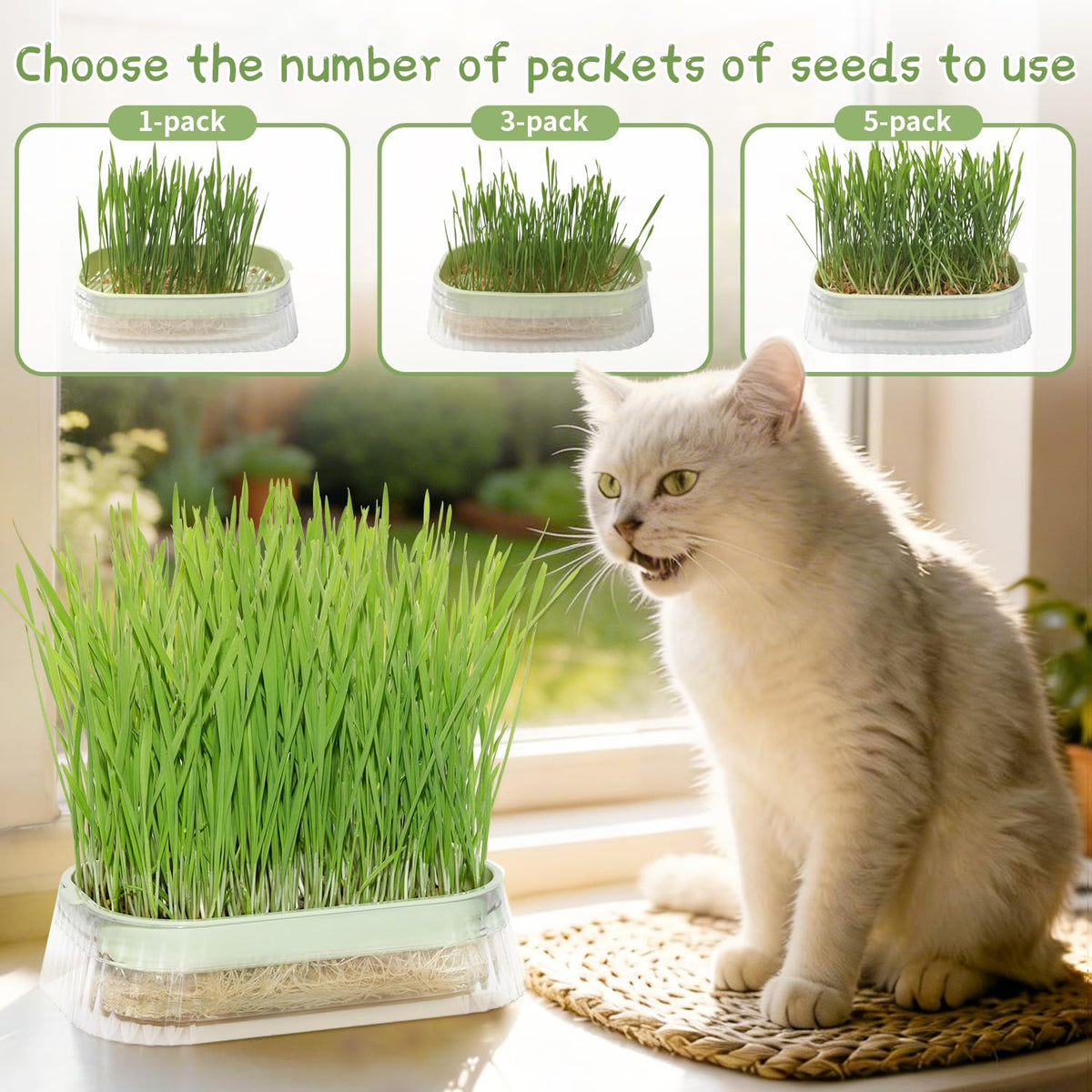 Hydroponic Cat Grass Grow Kit with 5Pack Non GMO Seeds W243725