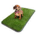 Artificial Grass Puppy Potty Training Pad with Tray, 15" x 30" Reusable T457755