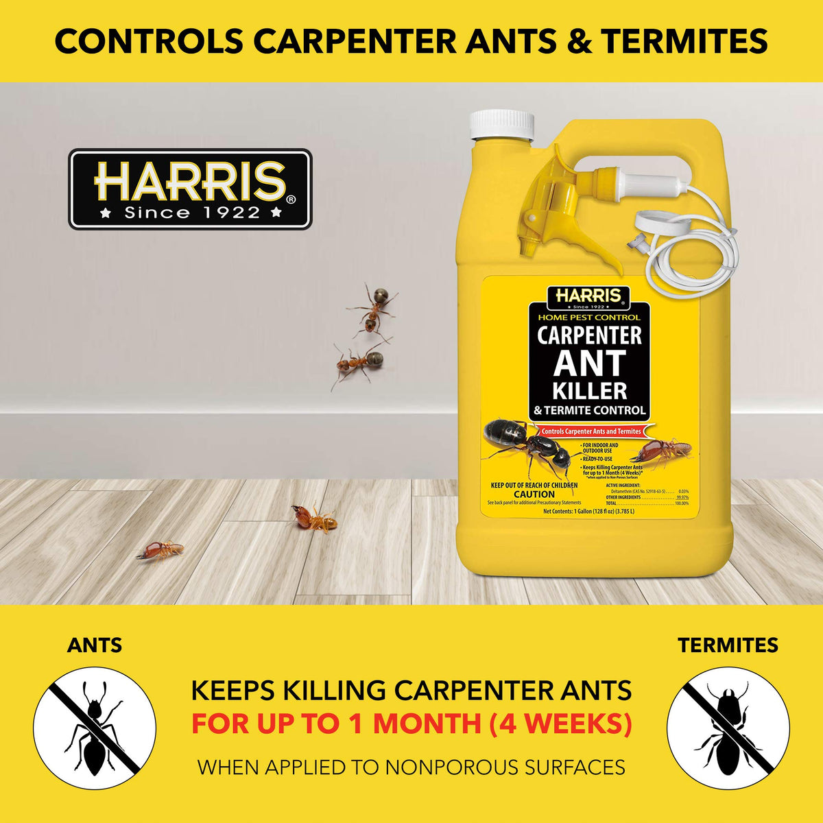 Carpenter Ant Killer & Termite Control Treatment 128 Oz D26141