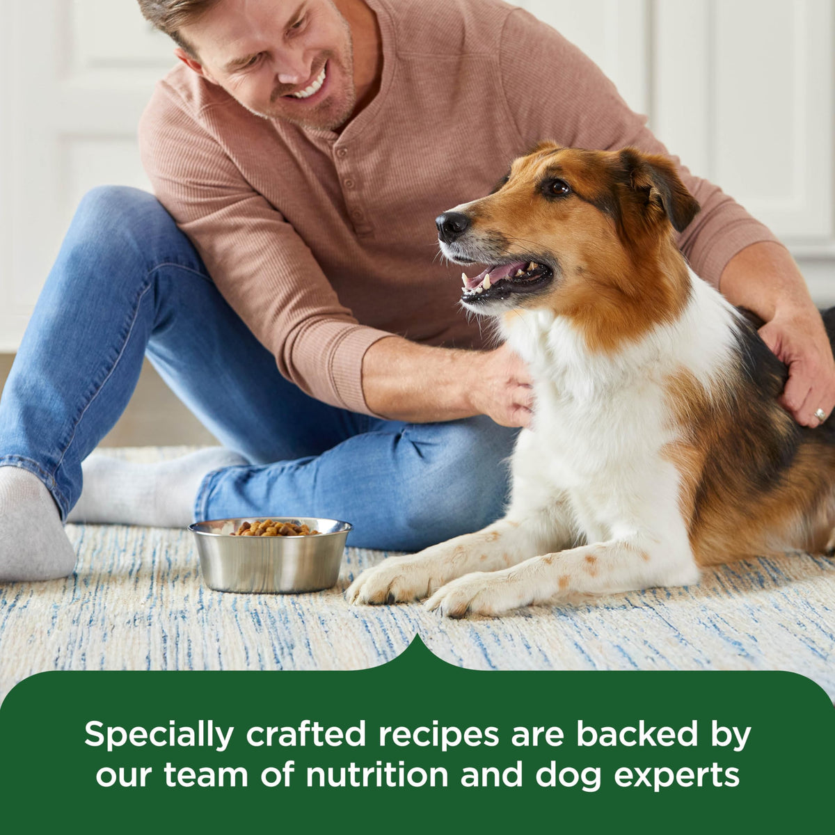 Dry Dog Food, Real Chicken & Veggies, 40 lb. Bag C784005