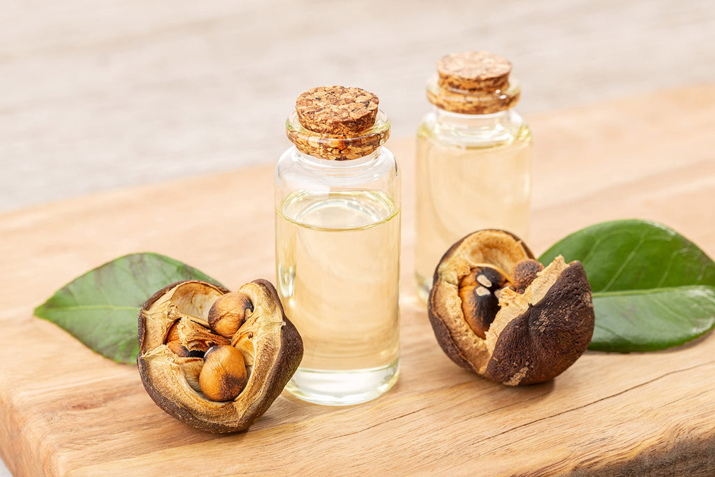 Japanese Camellia Seed Oil 1 oz Cold Pressed Unrefined Q453716