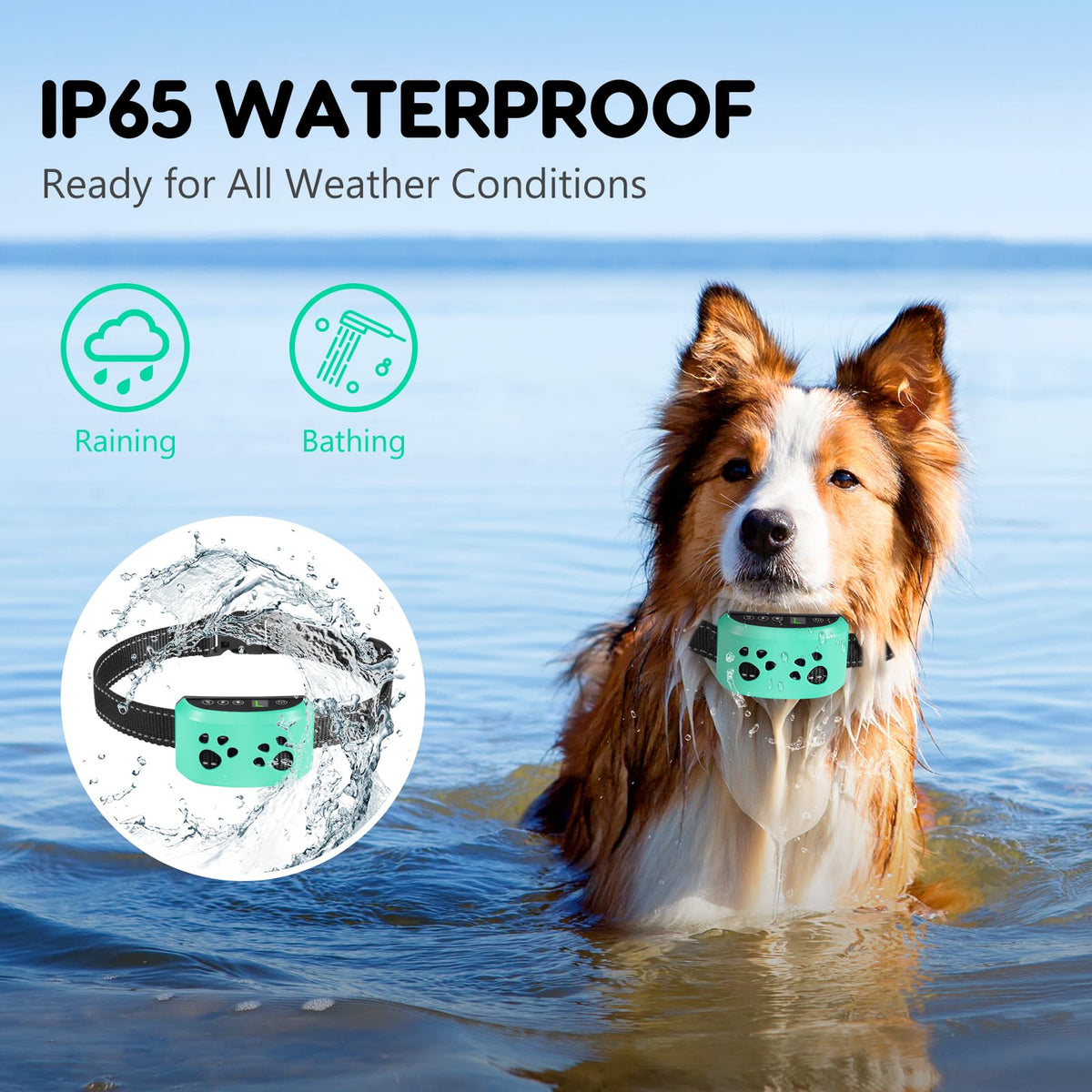 Anti Bark Collar for Dogs I136643