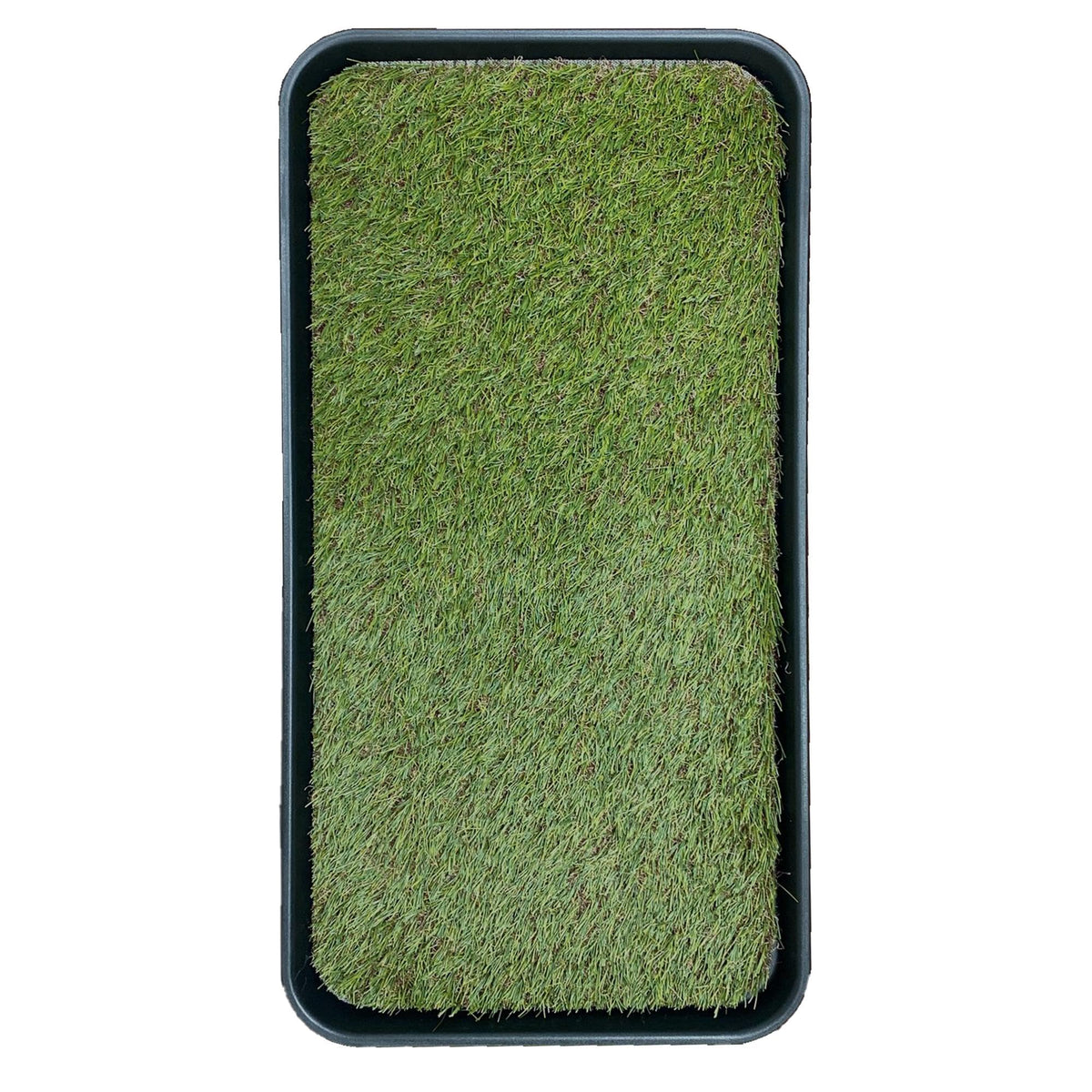 Artificial Grass Puppy Potty Training Pad with Tray, 15" x 30" Reusable T457755