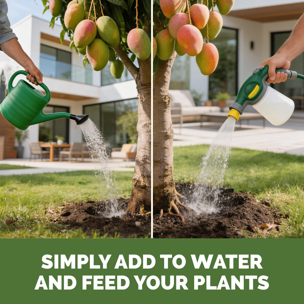 10-10-10 Fertilizer with Iron & Micros, 1 Gal F356