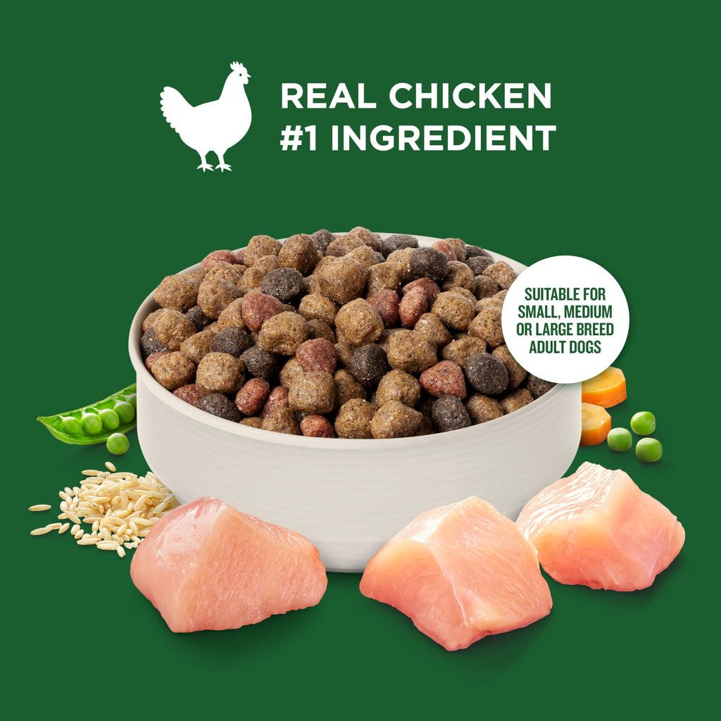 Dry Dog Food, Real Chicken & Veggies, 40 lb. Bag C784005