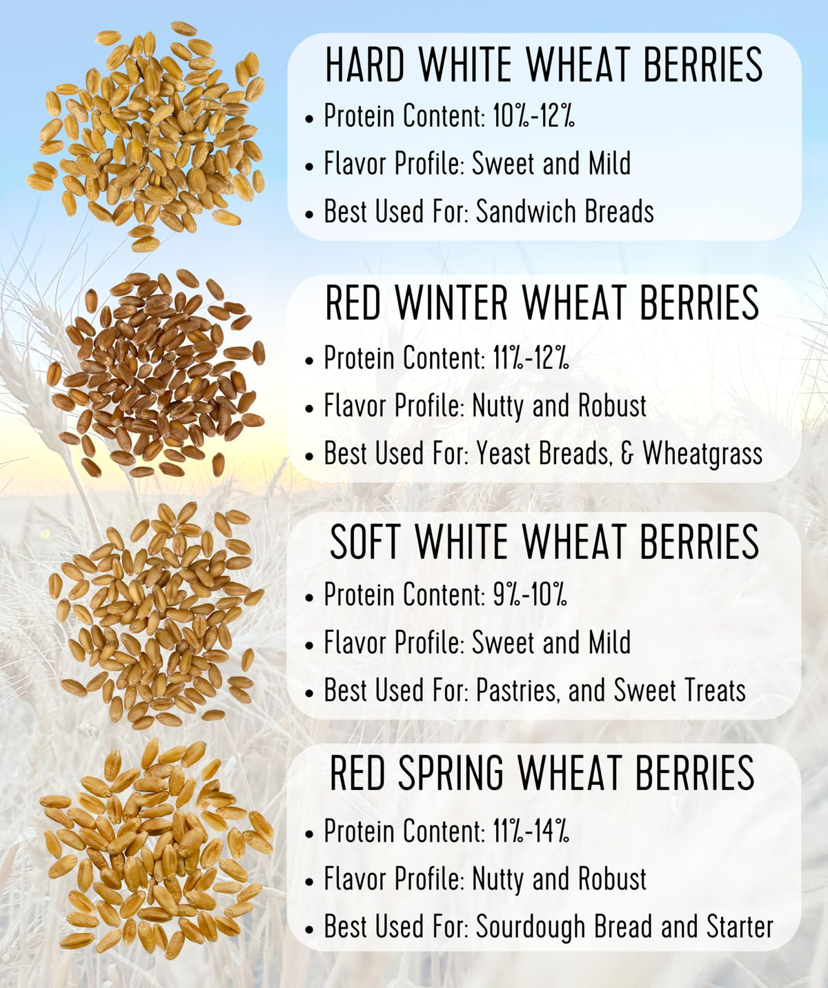 Hard Red Winter Wheat Berries 25 LBS Bucket U754689