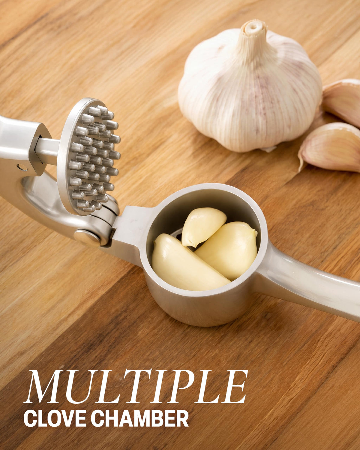 Garlic Press Set with Silicone Peeler & Brush H5707