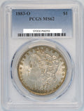 Morgan Silver Dollar Y89894