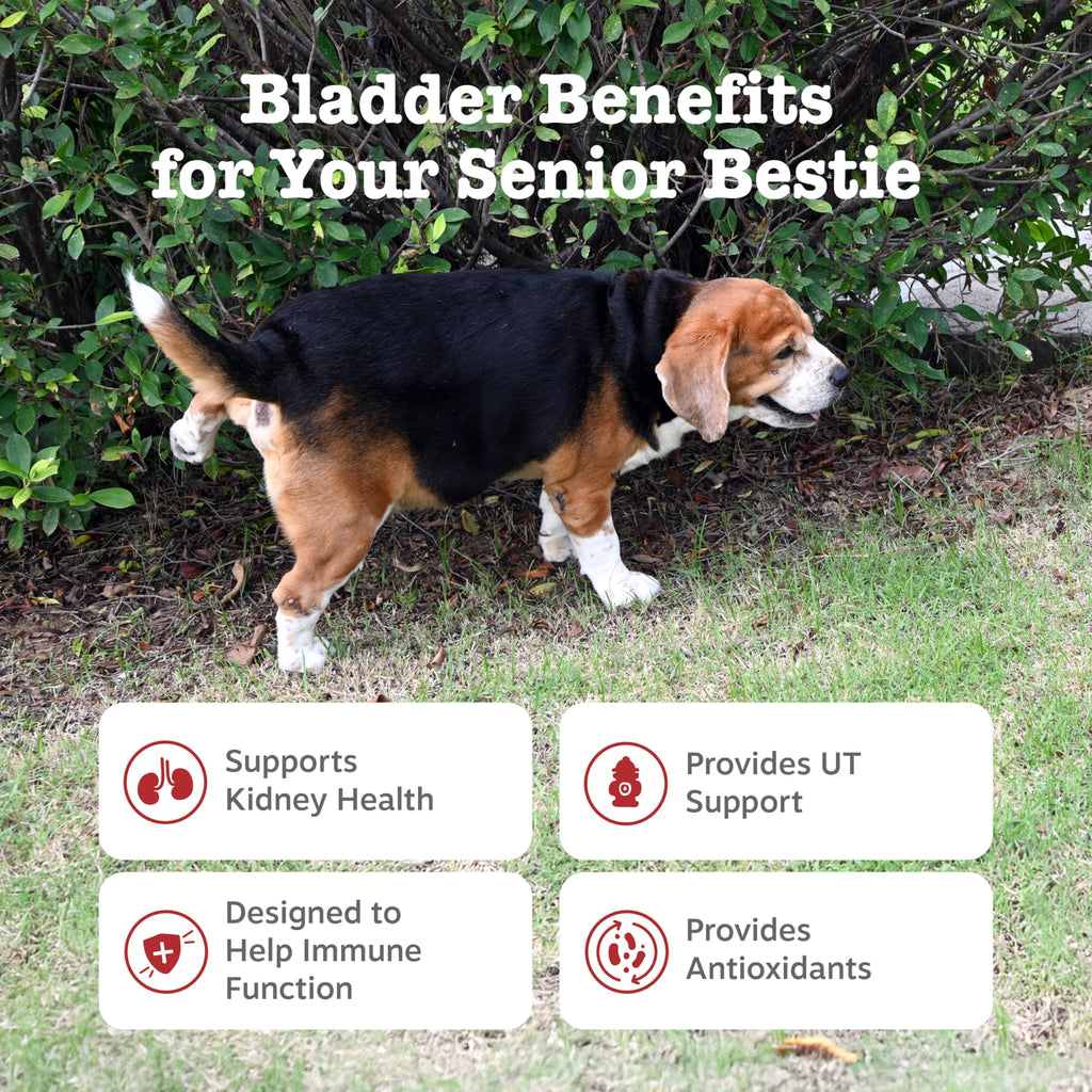 Senior Dog Bladder Control Supplement Chicken 90ct U5431