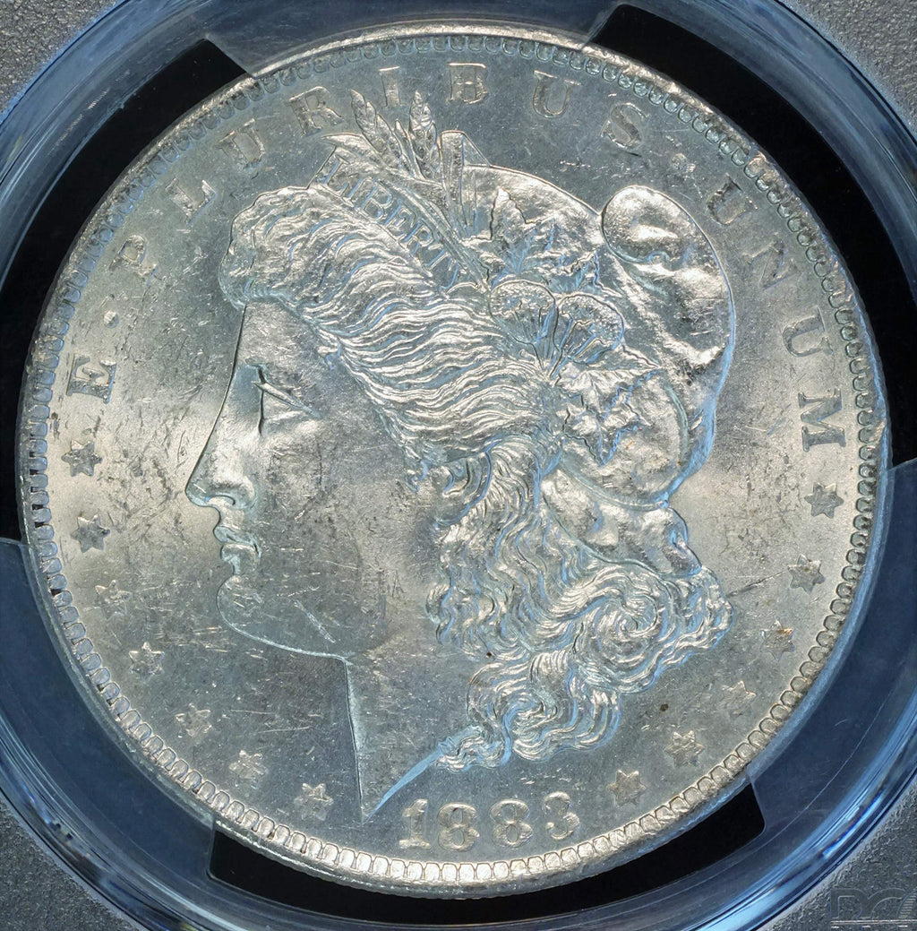Morgan Silver Dollar Y89894