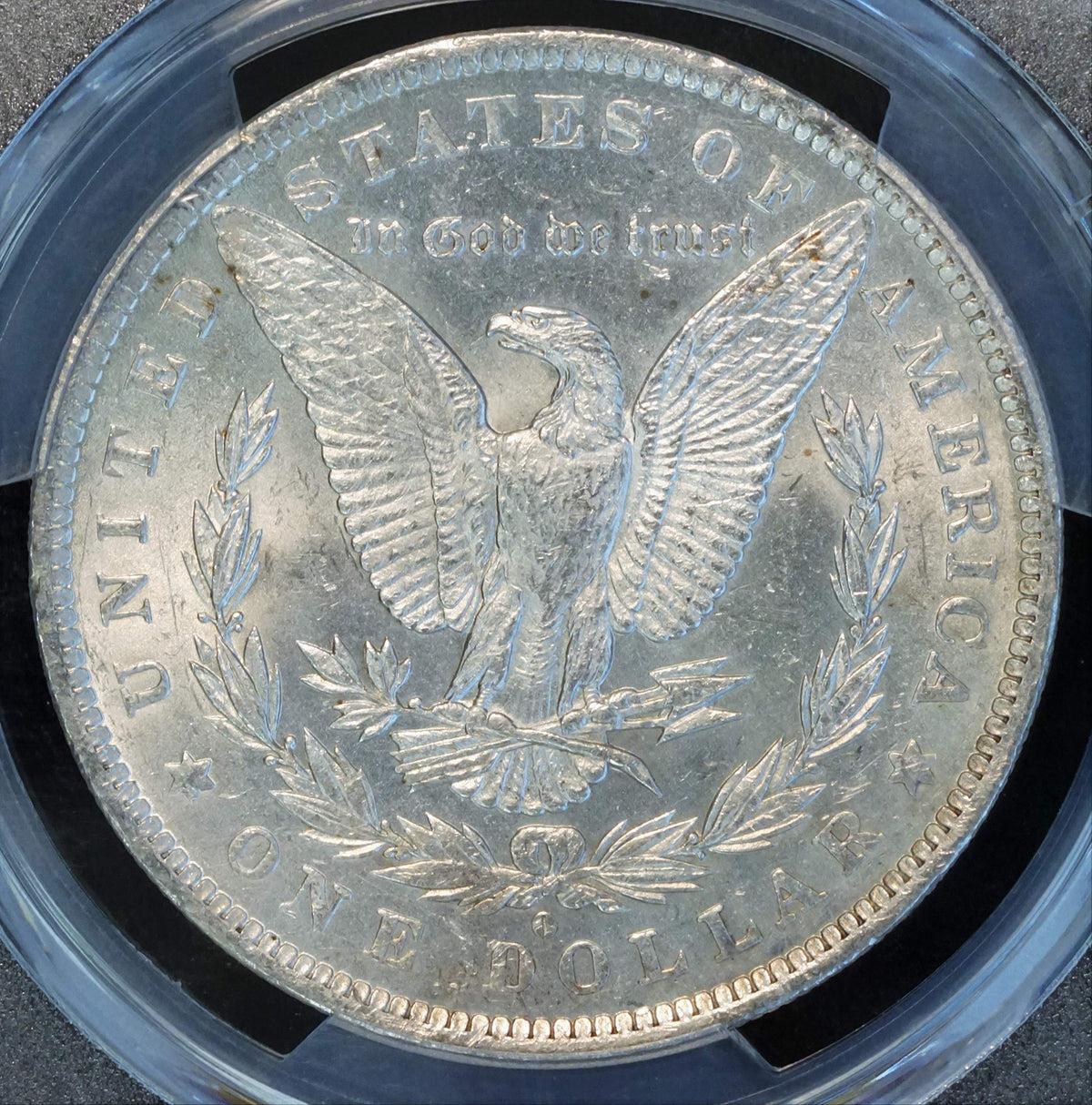 Morgan Silver Dollar Y89894