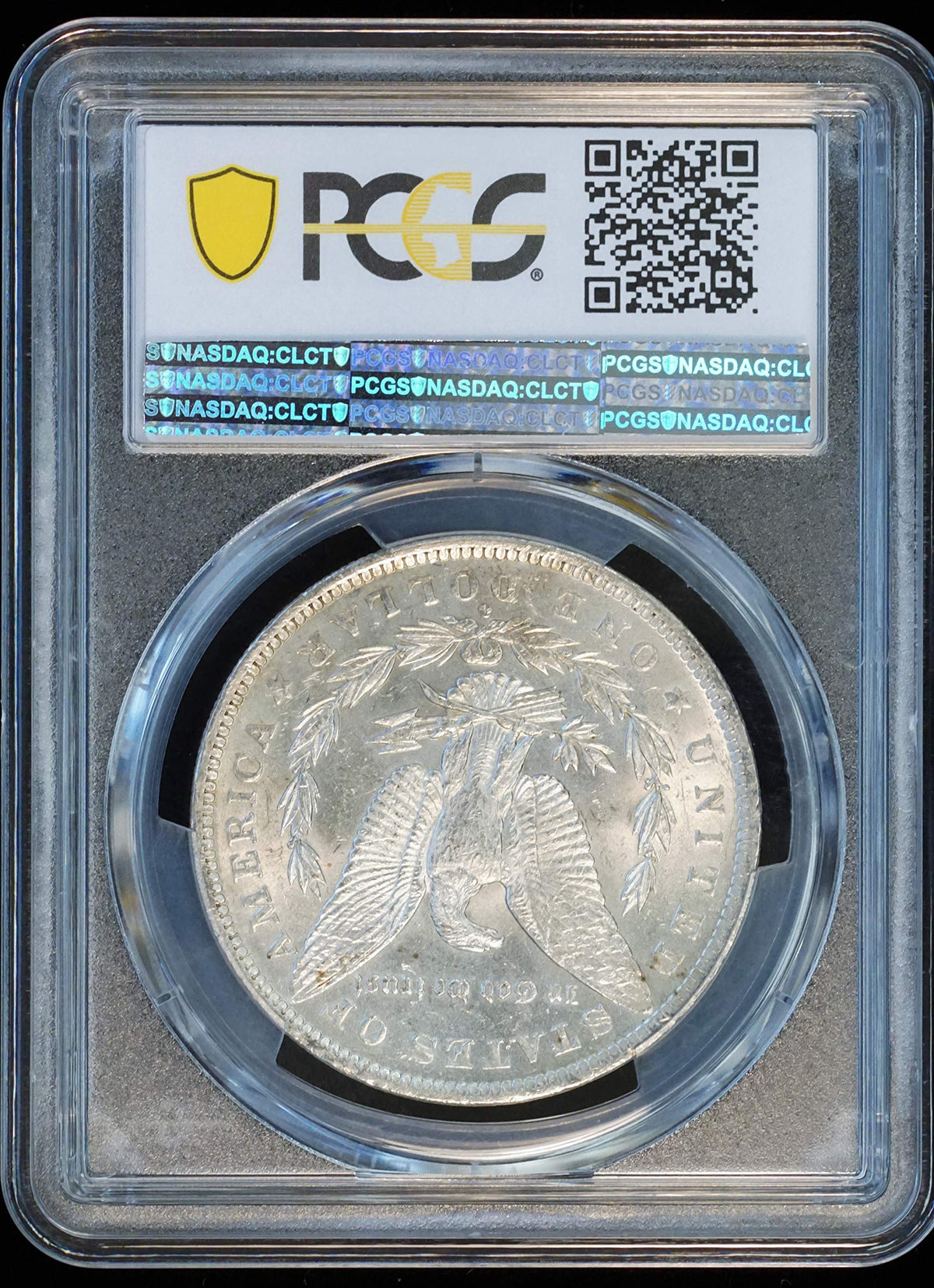 Morgan Silver Dollar Y89894